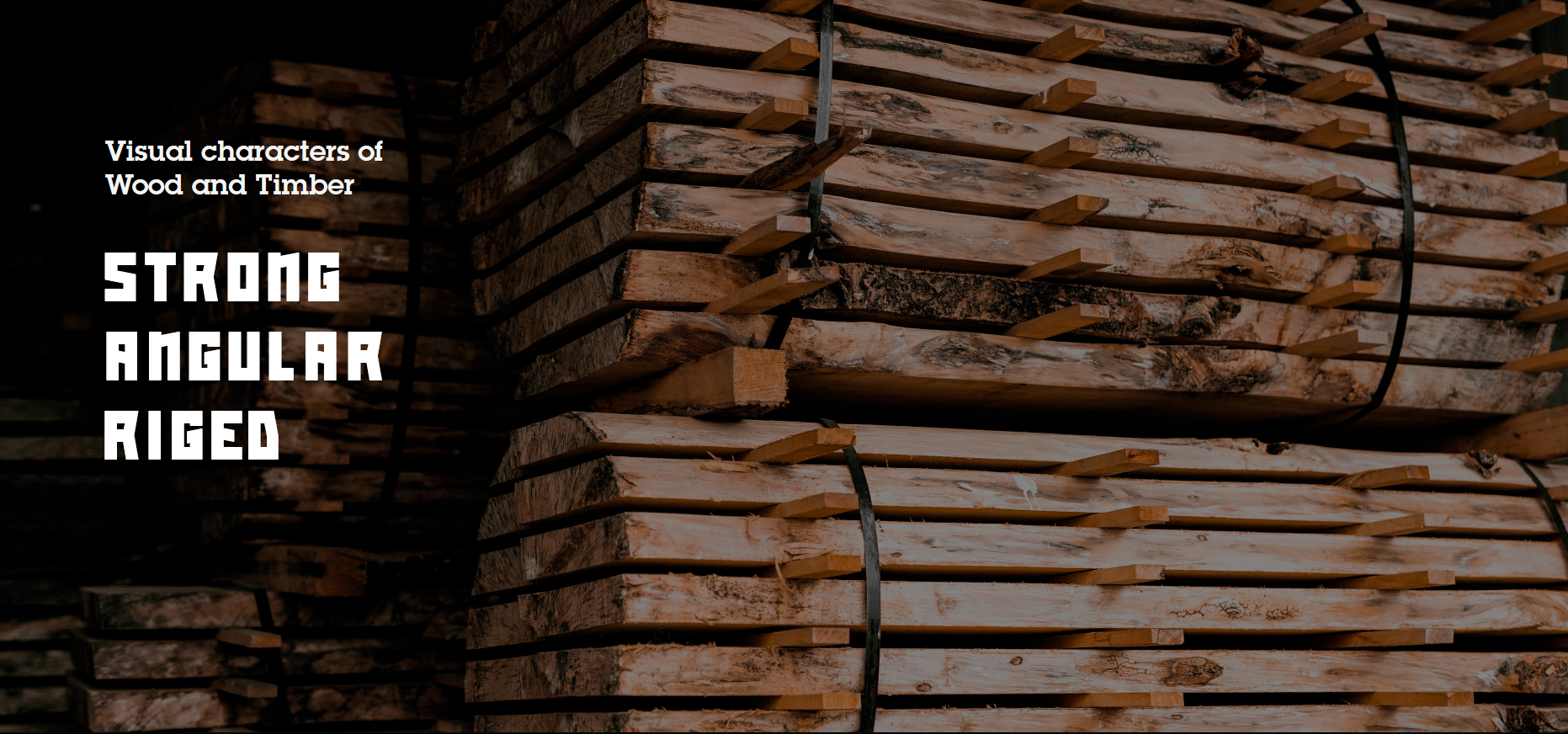 Logs Import